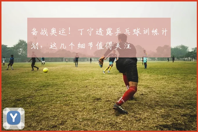 备战奥运!丁宁透露乒乓球训练计划,这几个细节值得关注