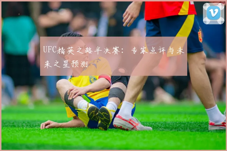 UFC精英之路半决赛：专家点评与未来之星预测