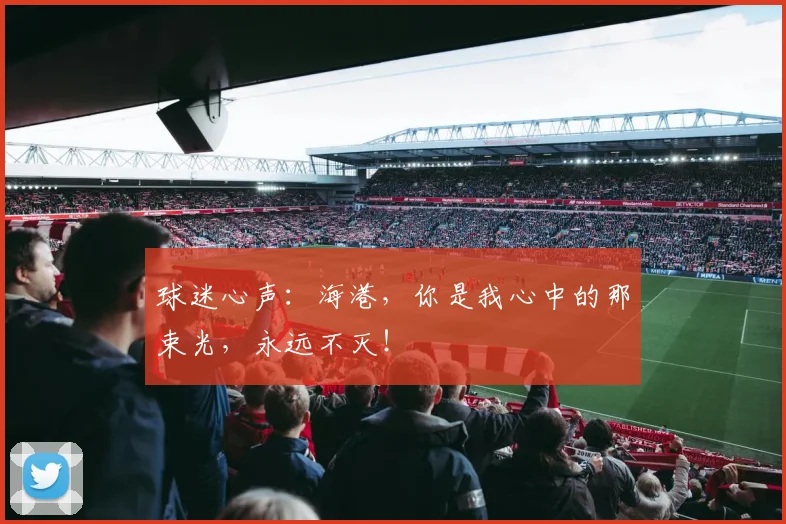 球迷心声:海港,你是我心中的那束光,永远不灭!