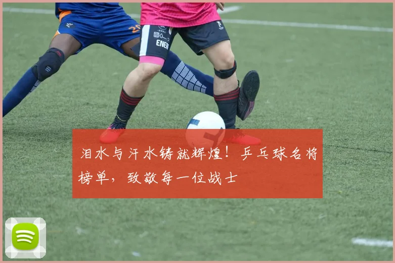 泪水与汗水铸就辉煌!乒乓球名将榜单,致敬每一位战士