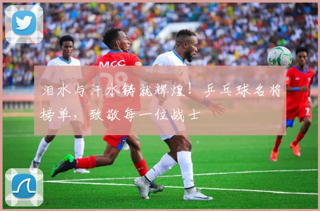 泪水与汗水铸就辉煌!乒乓球名将榜单,致敬每一位战士